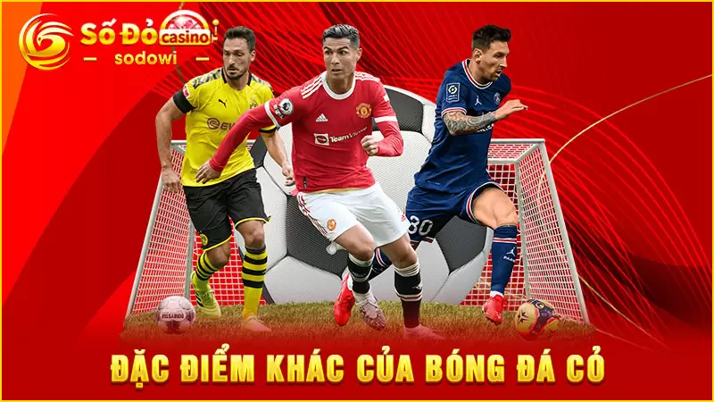 Soi kèo bóng đá cỏ săn tiền thưởng cực đỉnh cùng SODO 3 Đặc điểm khác của thể loại bóng đá cỏ