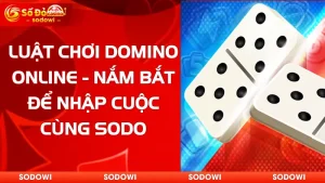 Luật Chơi Domino Online